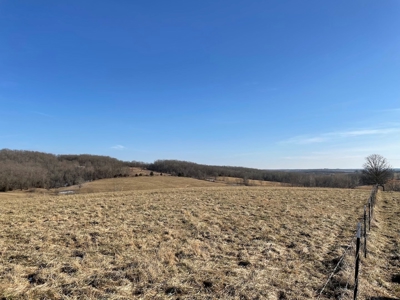 Farm For Sale In Southern Missouri - image 16