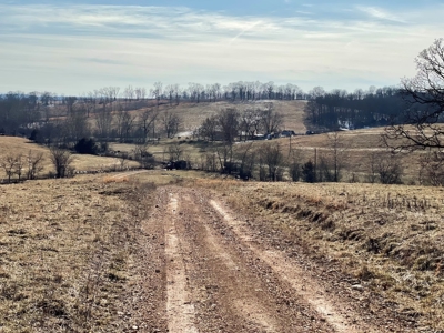 Farm For Sale In Southern Missouri - image 4
