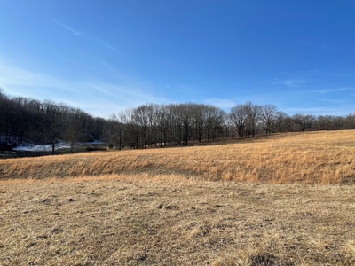 Farm For Sale In Southern Missouri - image 14