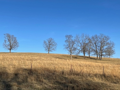 Farm For Sale In Southern Missouri - image 21
