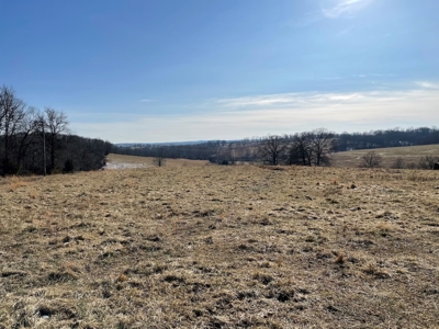 Farm For Sale In Southern Missouri - image 1