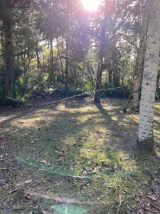 Rare Jewel: Historic Florida Cracker Home - image 4