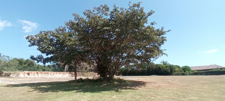 Beach Lot For Sale In Playa Chumico Close To Coronado - image 9