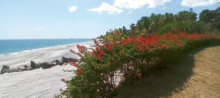 Beach Lot For Sale In Playa Chumico Close To Coronado - image 14