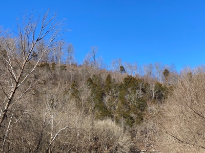 Acreage On South Sylamore Creek Mountain View, Arkansas - image 11
