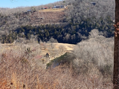 Acreage On South Sylamore Creek Mountain View, Arkansas - image 2