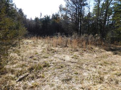 Newton County Shop Creek Land For Sale Parthenon Valley - image 4