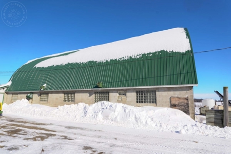 278+/- acre farm in the Township of Trenton, Dodge County - image 14