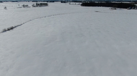 278+/- acre farm in the Township of Trenton, Dodge County - image 11