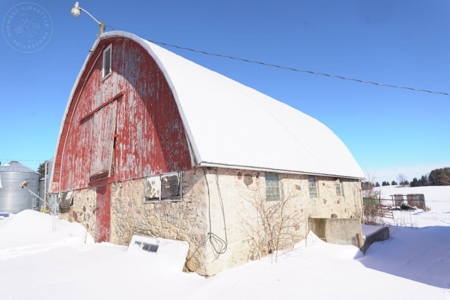 278+/- acre farm in the Township of Trenton, Dodge County - image 41
