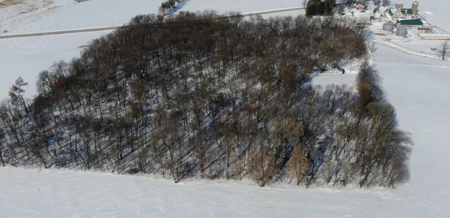 278+/- acre farm in the Township of Trenton, Dodge County - image 5