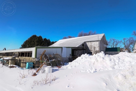 278+/- acre farm in the Township of Trenton, Dodge County - image 16