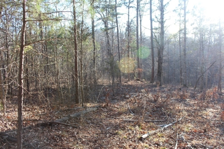 Building Lot Only Minutes From Mountain View - image 1