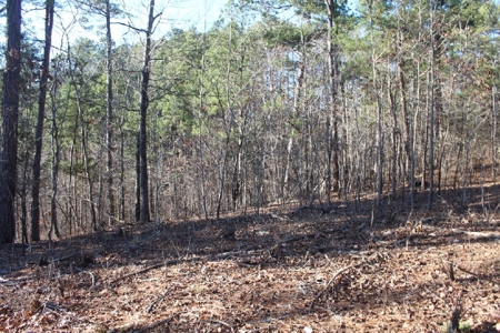 Building Lot Only Minutes From Mountain View - image 5
