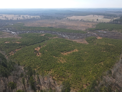 Rural Timberland and Recreational Property for Sale in Texas - image 6