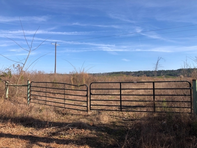 Rural Timberland and Recreational Property for Sale in Texas - image 12