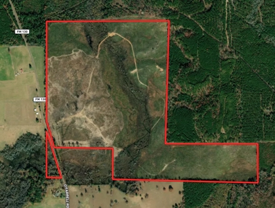 Rural Timberland and Recreational Property for Sale in Texas - image 1
