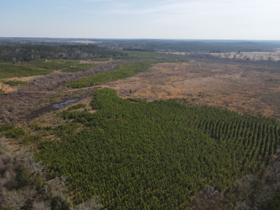 Rural Timberland and Recreational Property for Sale in Texas - image 5