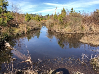 Rural Timberland and Recreational Property for Sale in Texas - image 10