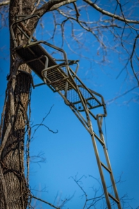 Hunting Riverfront Farm For Sale in Belvidere Tennessee - image 27