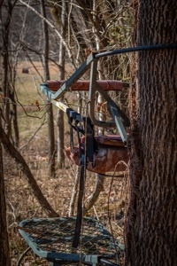 Hunting Riverfront Farm For Sale in Belvidere Tennessee - image 23