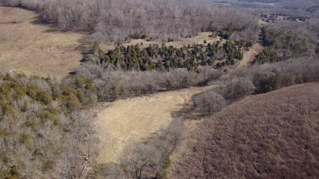 Hunting Riverfront Farm For Sale in Belvidere Tennessee - image 35