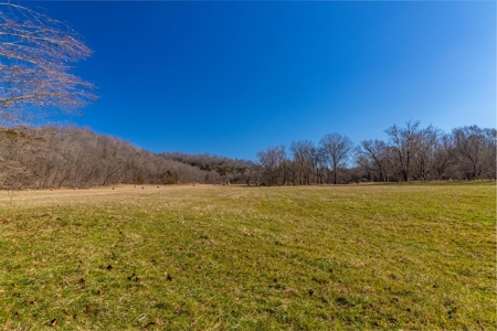 Hunting Riverfront Farm For Sale in Belvidere Tennessee - image 17