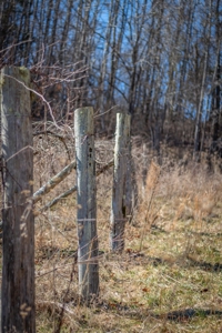 Hunting Riverfront Farm For Sale in Belvidere Tennessee - image 30