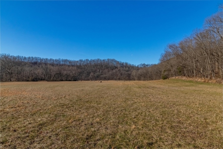 Hunting Riverfront Farm For Sale in Belvidere Tennessee - image 14
