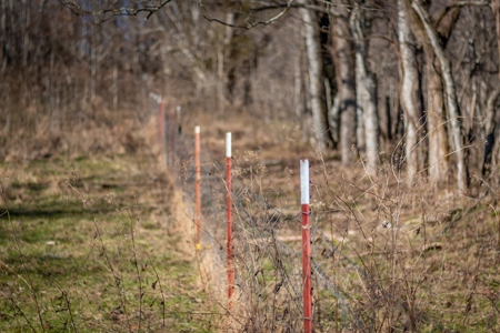 Hunting Riverfront Farm For Sale in Belvidere Tennessee - image 25