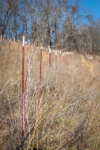 Hunting Riverfront Farm For Sale in Belvidere Tennessee - image 31