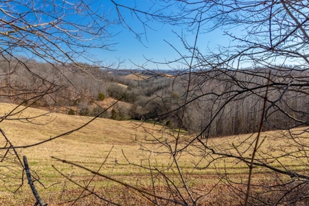 Hunting Riverfront Farm For Sale in Belvidere Tennessee - image 20