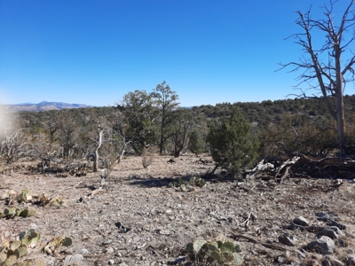Secluded Parcel - image 2