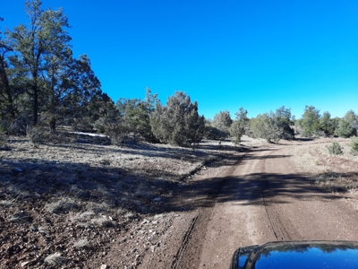 Secluded Parcel - image 5
