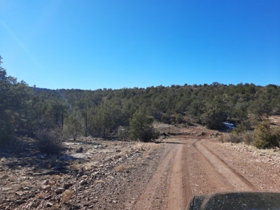 Secluded Parcel - image 6