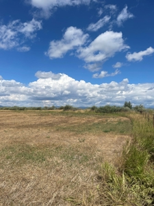 Irrigated Land for Sale with Mountain Views Northern NM - image 7