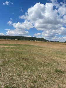 Irrigated Land for Sale with Mountain Views Northern NM - image 10