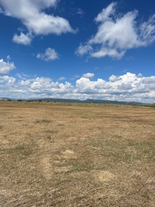 Irrigated Land for Sale with Mountain Views Northern NM - image 8