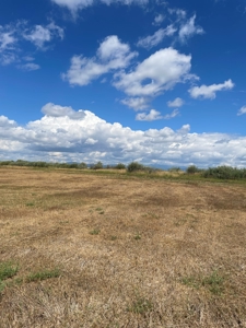 Irrigated Land for Sale with Mountain Views Northern NM - image 11