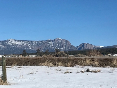 Irrigated Land for Sale with Mountain Views Northern NM - image 1