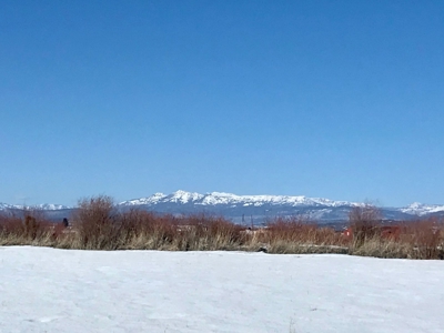 Irrigated Land for Sale with Mountain Views Northern NM - image 5
