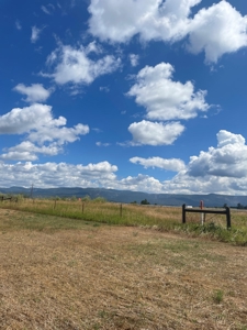 Irrigated Land for Sale with Mountain Views Northern NM - image 12