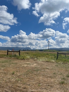Irrigated Land for Sale with Mountain Views Northern NM - image 6