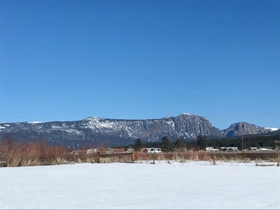 Irrigated Land for Sale with Mountain Views Northern NM - image 3