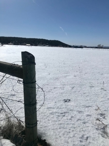 Irrigated Land for Sale with Mountain Views Northern NM - image 2