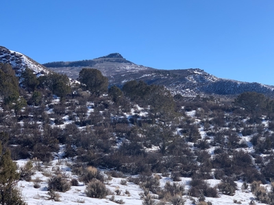 Cabin on 40+ Acres in Cathedral Peak Ranch Near Public Land - image 7