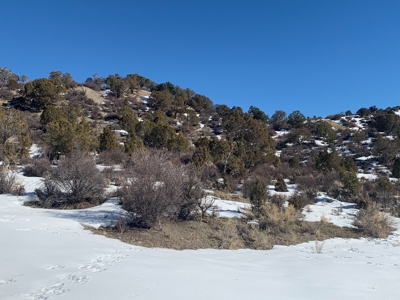 Cabin on 40+ Acres in Cathedral Peak Ranch Near Public Land - image 9