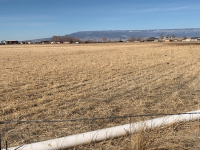 Southeast of Olathe, CO is 35± Acres of Farmland - image 6