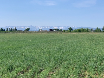 Southeast of Olathe, CO is 35± Acres of Farmland - image 24