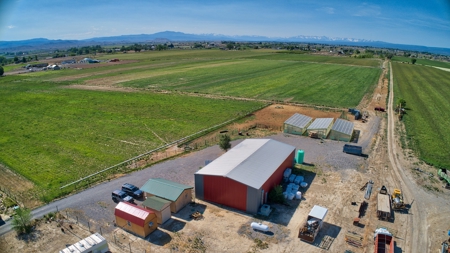 Southeast of Olathe, CO is 35± Acres of Farmland - image 14